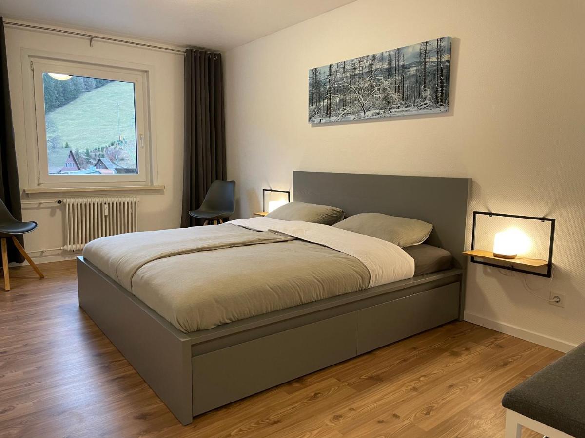 Breeman Im Harz Apartment Sankt Andreasberg Bagian luar foto
